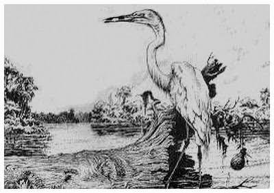 Ilustração da lenda A Lenda do Tarumã