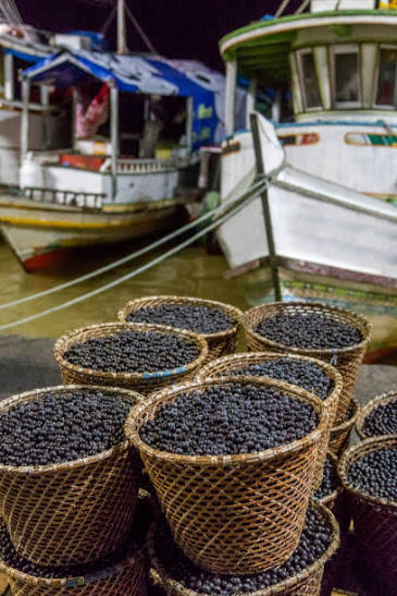 Cesta de açaí regional
